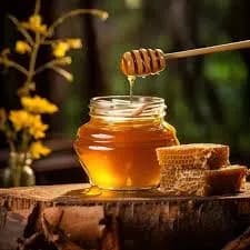 Wild Forest Honey